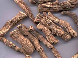 Calamus root